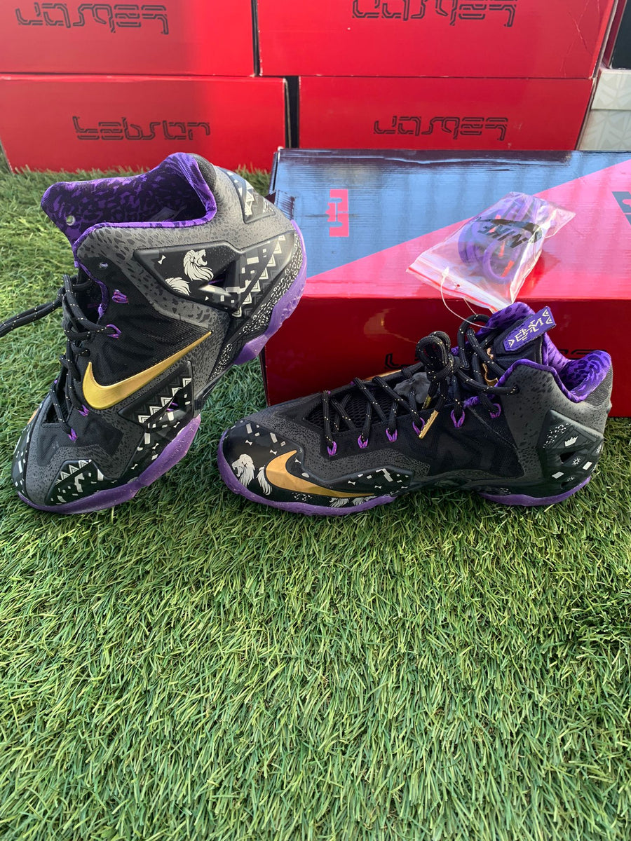 LeBron 11  display picture 1